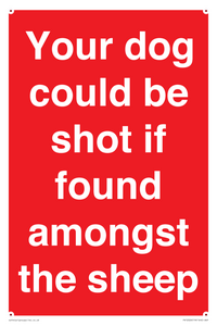 Your dog could be shot if found amongst the sheep